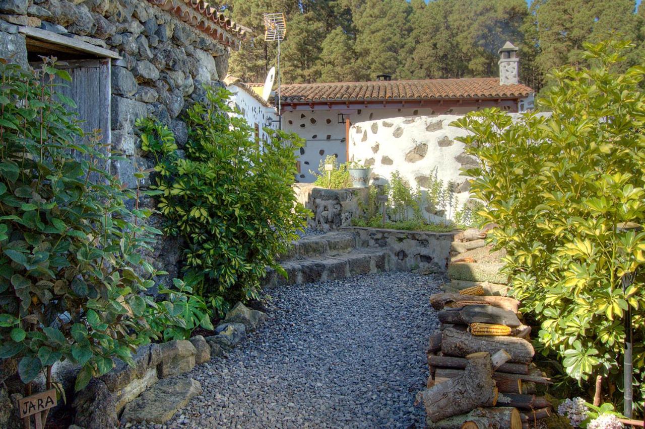 Holidaynorthtenerife Casa Rural Montiel Икод-де-лос-Винос Экстерьер фото
