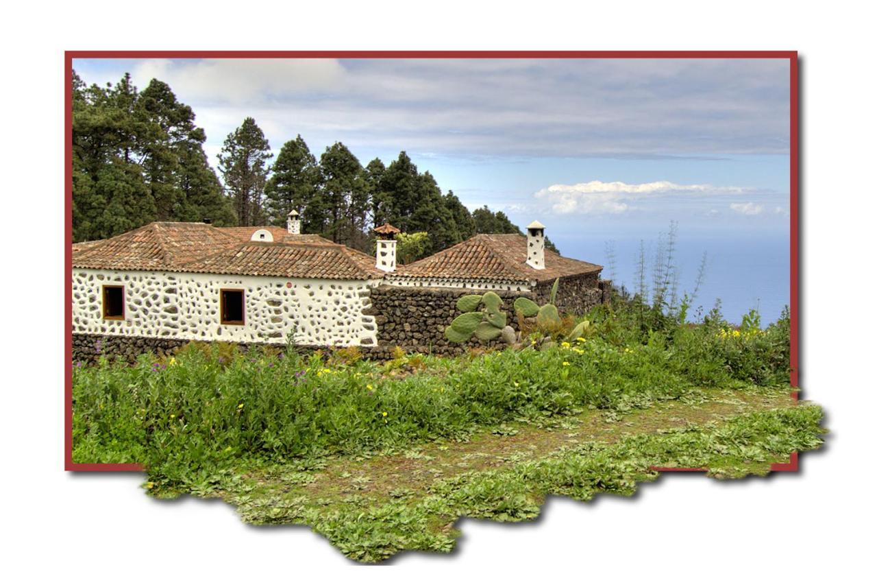Holidaynorthtenerife Casa Rural Montiel Икод-де-лос-Винос Экстерьер фото